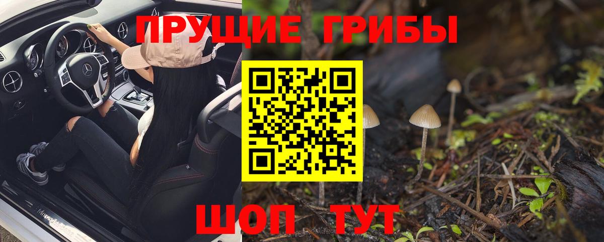Псилоцибиновые грибы Magic Shrooms Шахты