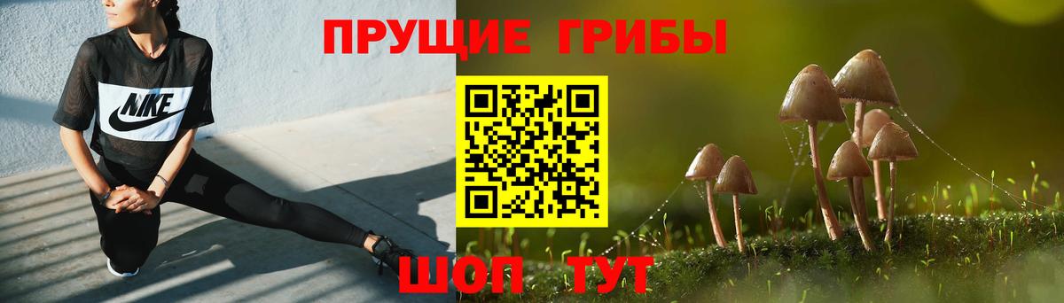 Псилоцибиновые грибы Magic Shrooms  Вход с VPN  Шахты  Псилоцибиновые грибы Psilocybine cubensis 